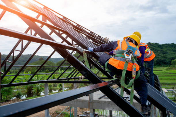 Best Roof Gutter Cleaning  in University Center, VA