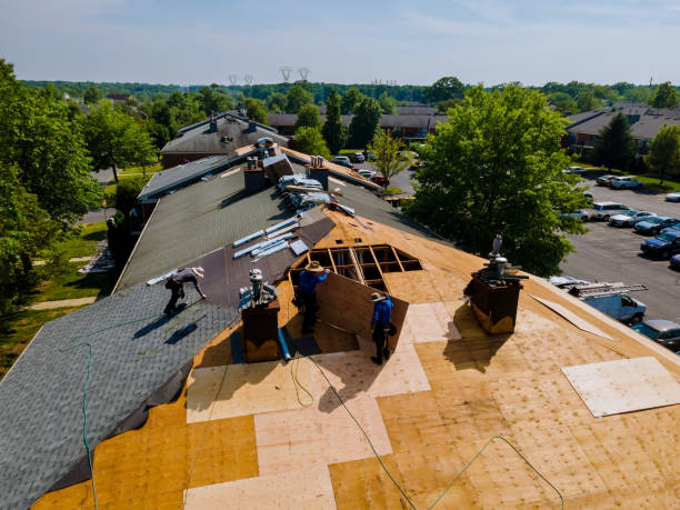 Best Roof Maintenance Services  in University Center, VA