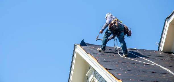 Best Roof Leak Repair  in University Center, VA